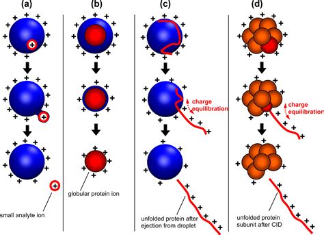 Unraveling the Mechanism of Electrospray Ionization.
